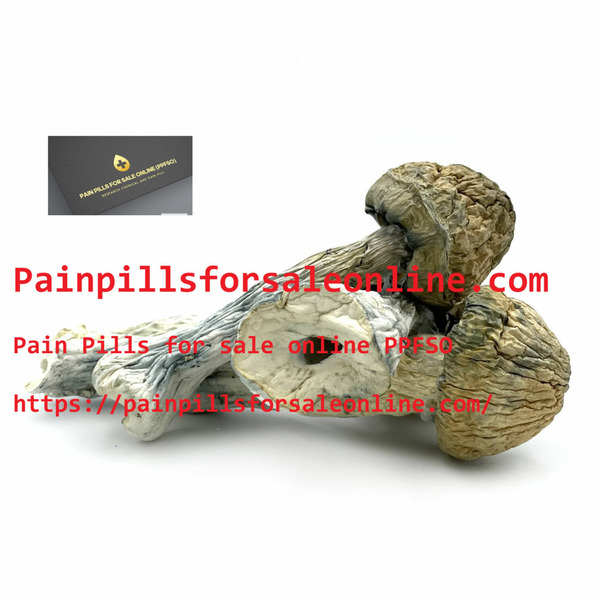 Where to buy Psychedelic mushrooms - painpillsforsaleonline.com