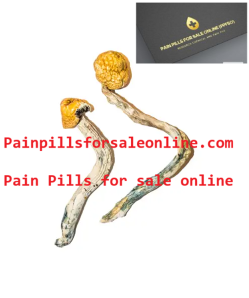Buy Escondido Magic Mushrooms – Painpillsforsaleonline.com