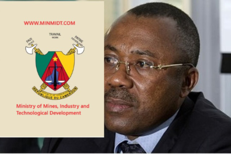 Verified Gold Companies in Cameroon - Minmidt.com